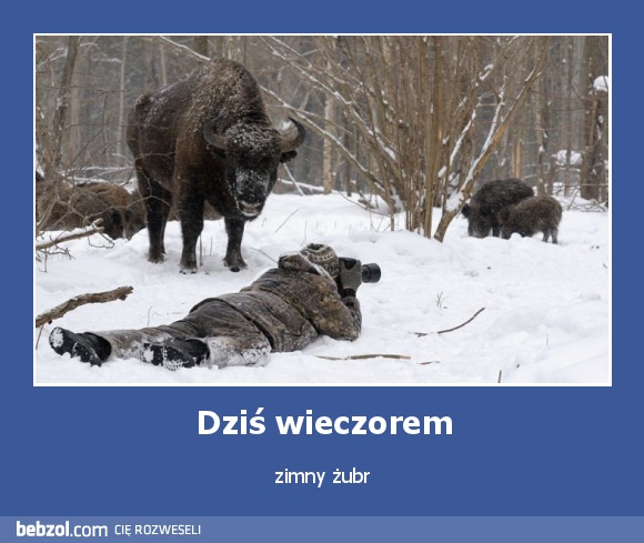 Dziś wieczorem