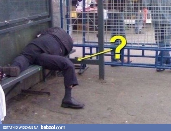 To On siedzi czy leży?