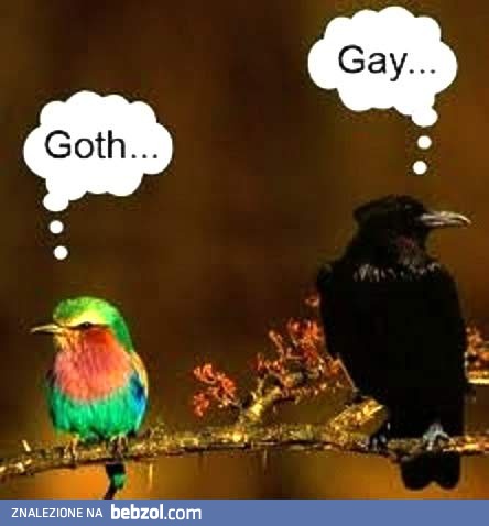 Nie dogodzisz każdemu