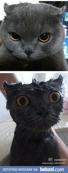 Kąpiel może zaszkodzić każdemu