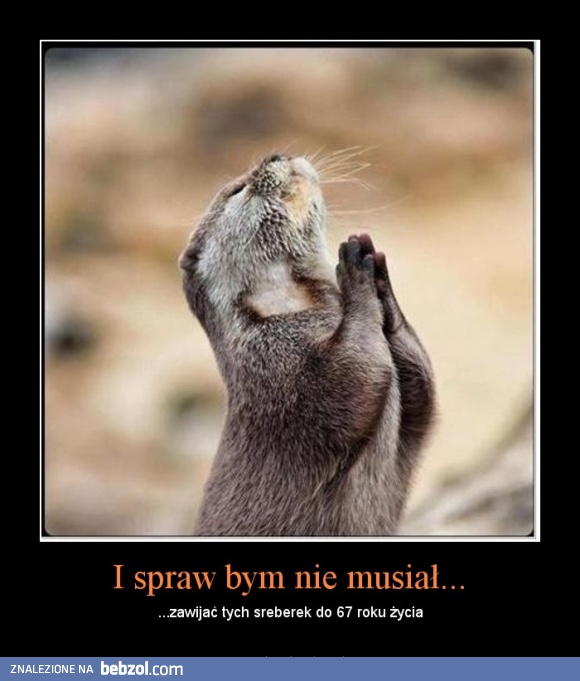 Gdyby świstak żył w Polsce...