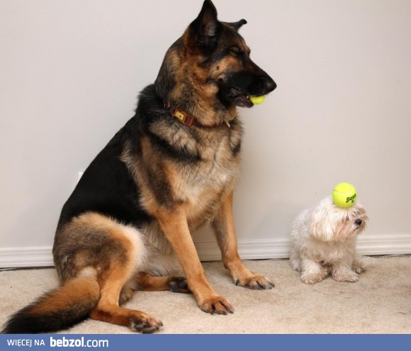 O mój Boże... Co Ty robisz?!