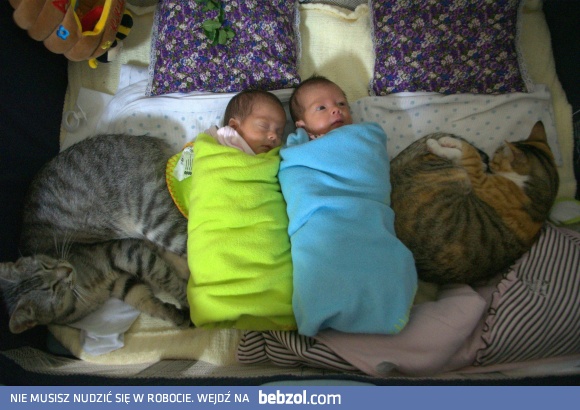 Maluchy są w dobrych rękach