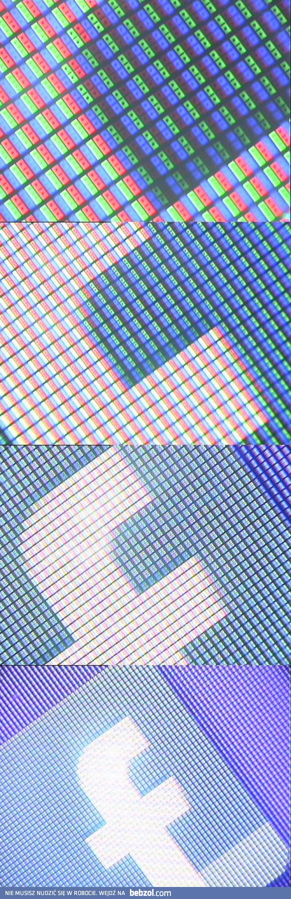 Piksele pod mikroskopem