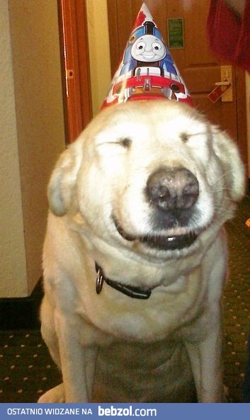 Dziś są jego urodziny!