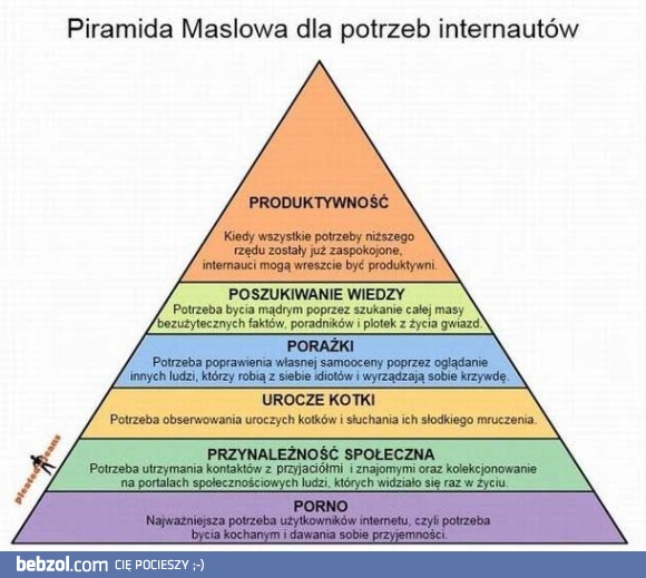 Piramida potrzeb internautów