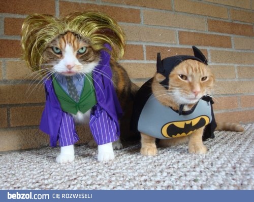 Nadają się do nowego Batmana?