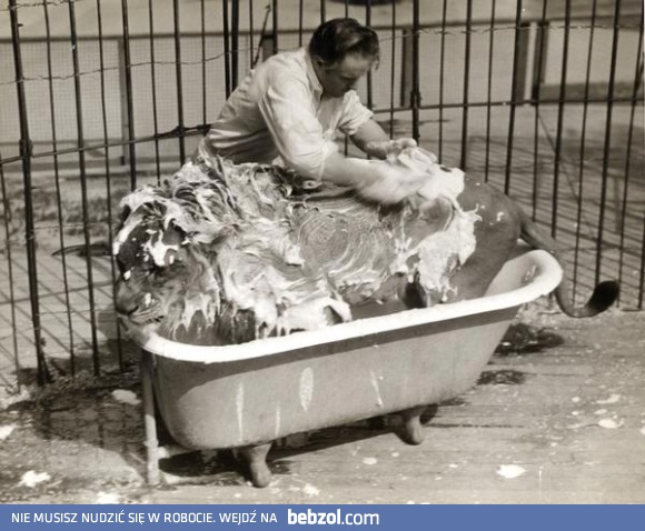 Nikt nie lubi kąpieli...