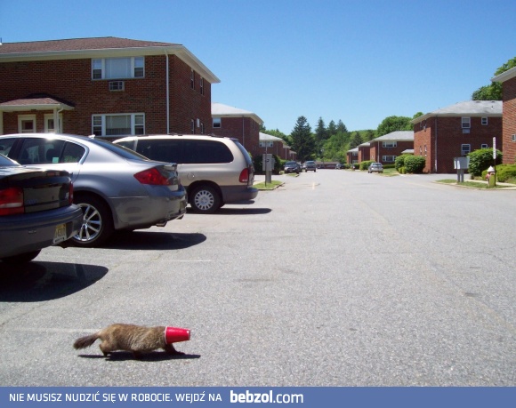 Nie przechodzi się na czerwonym!