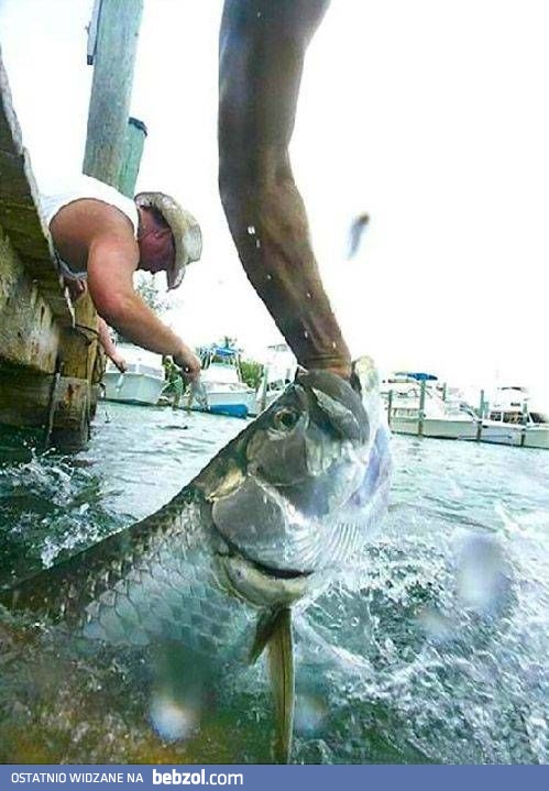 Czy to jeszcze wędkarstwo?