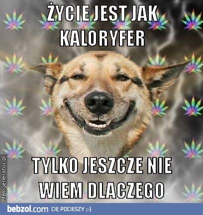 Życie jest jak...
