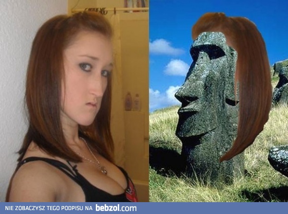 Podobieństwo jest oczywiste