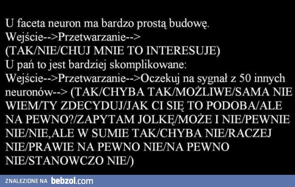 Konstrukcja neuronów męskich i żeńskich