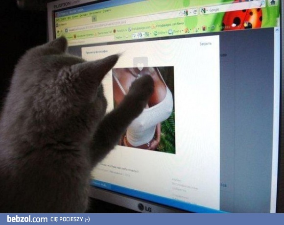 Tam by się dobrze spało