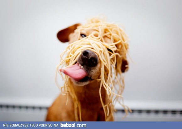 Noszę makaron, a Wy nie :P