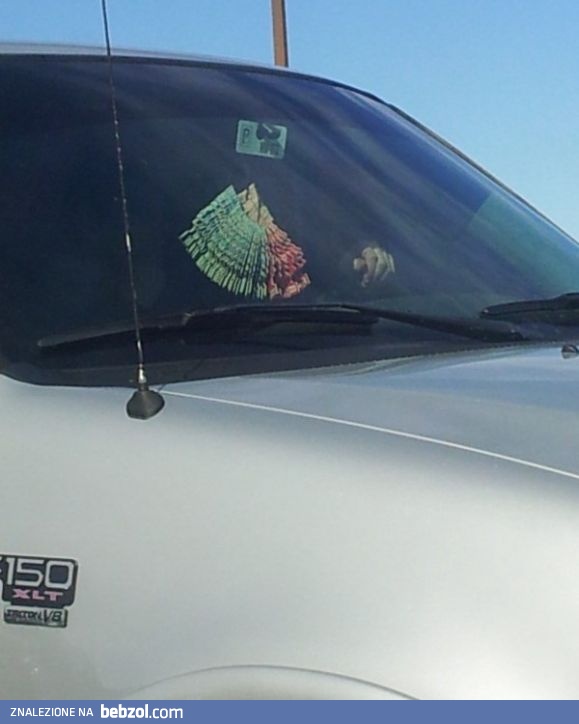 Coś musiało tam zdechnąć