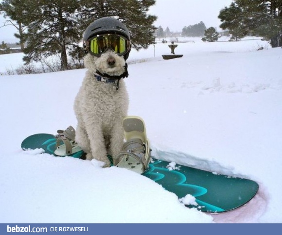 Pozdrowienia ze stoku