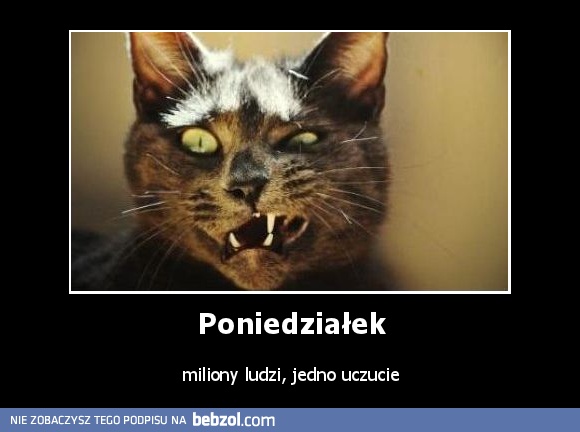 Poniedziałek