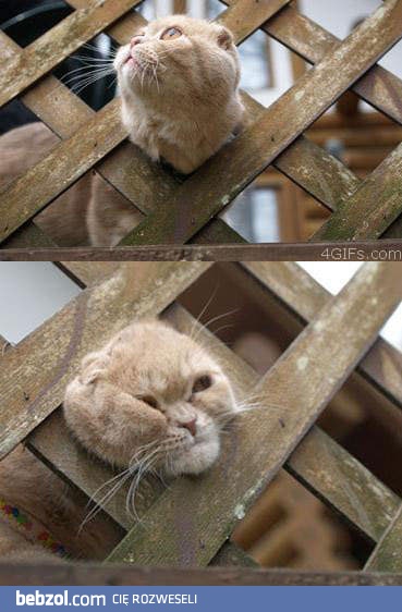 Możemy mieć problem