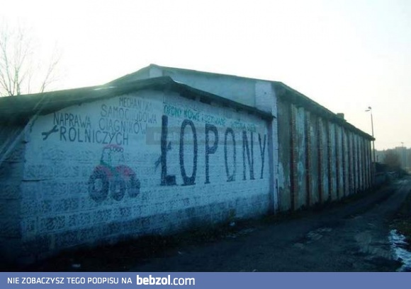 Łokazja na łopony