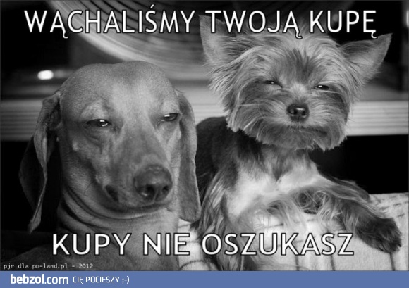 Kupy nie oszukasz!