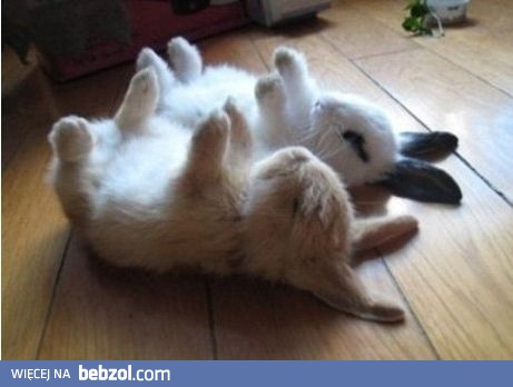 Baterie się im wyczerpały