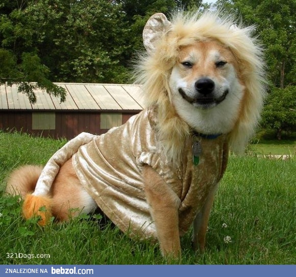 Mam nadzieję, że zwrócą pieniądze za bilet w tym ZOO