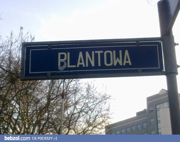 Tymczasem w Szczecinie