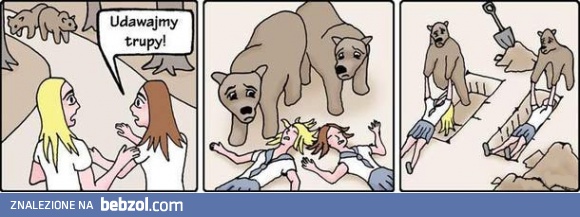 Uczynne niedźwiedzie