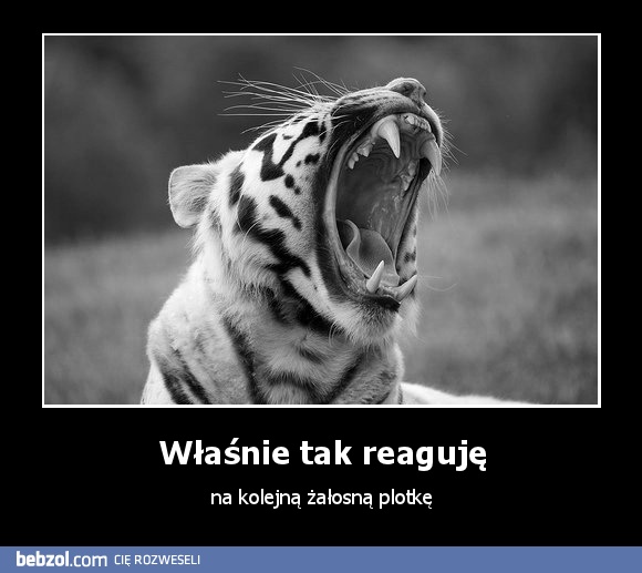 Właśnie tak reaguję