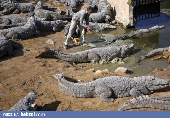 Zostały po nim tylko buty