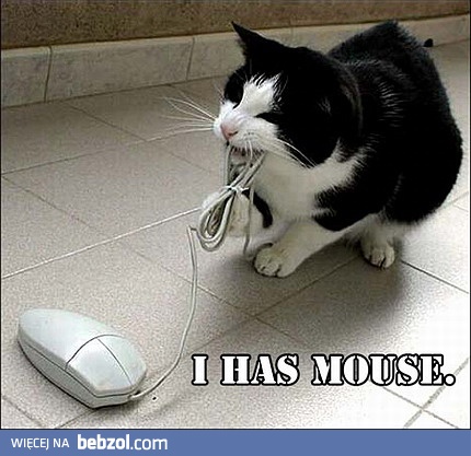 Mam moją myszkę!