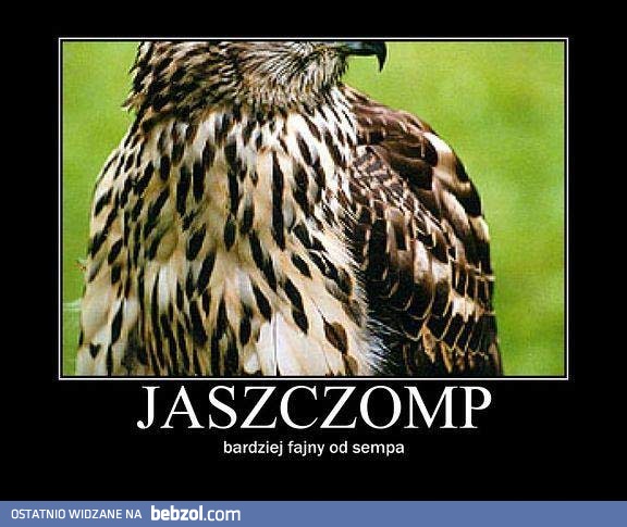 Siema, jestem jaszczomp