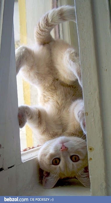 Lubię się czasem schować