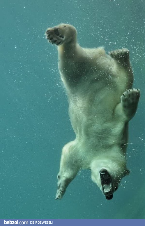 Chyba pomyliłem kierunki...