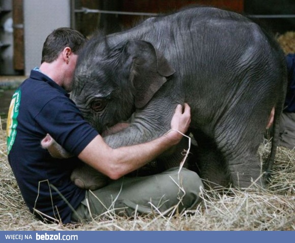 No wygadaj się, kto Ci dokuczał?