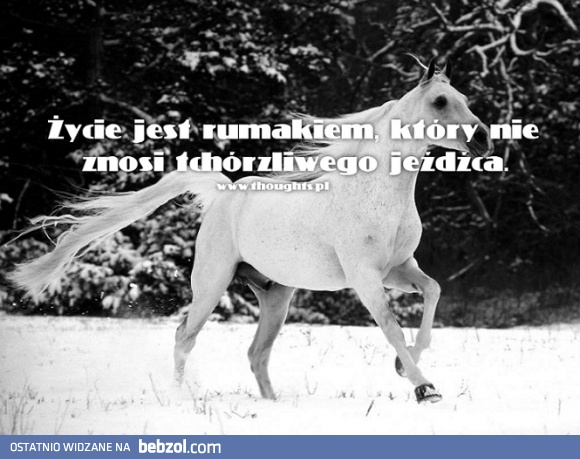 Zycie