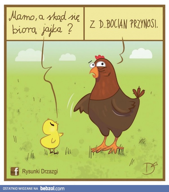 Mamo, a skąd się biorą jajka?