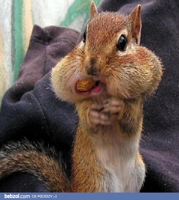 Ale jakie orzeszki...?