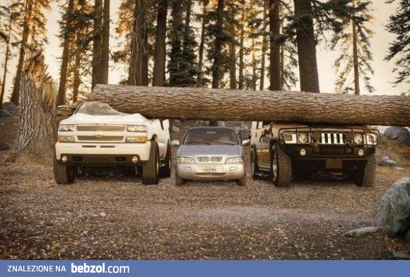 Czasem fajnie być małym