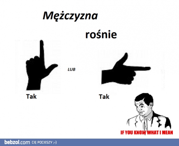 Fazy wzrostu