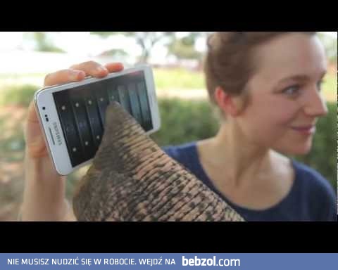 eSłoń i smartphone