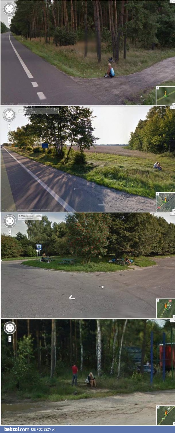 Leśne ssaki na mapach