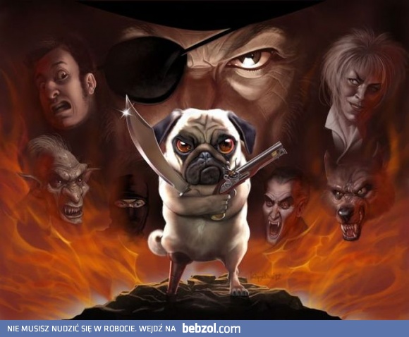 Mops z Karaibów