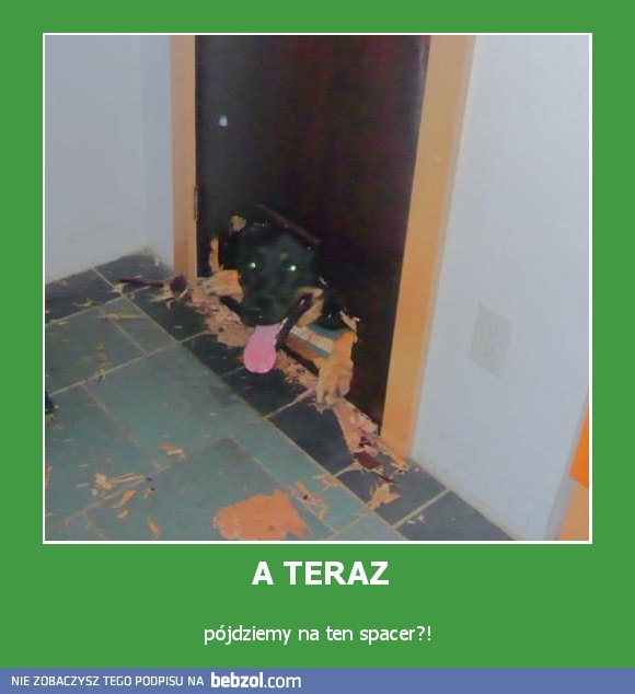 A TERAZ
