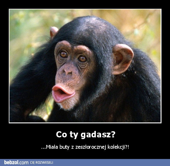 Co ty gadasz?