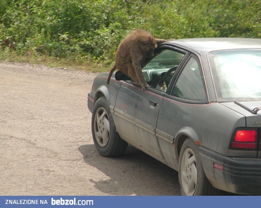 Mogę się z tobą zabrać?