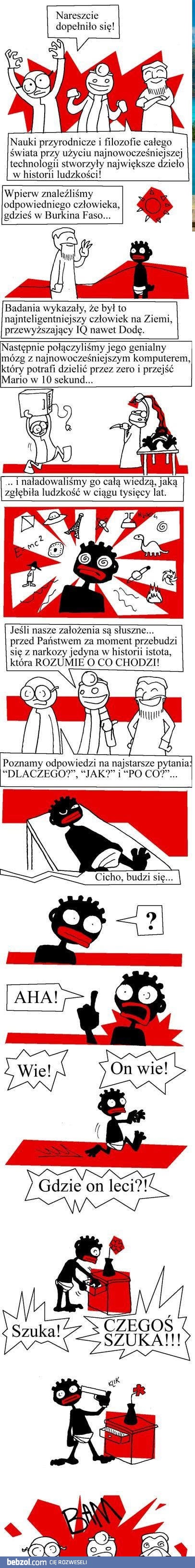 Najinteligentniejsza istota na świecie - ona wie!