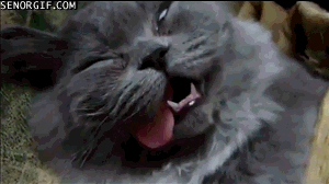 Daj mi już spokój!