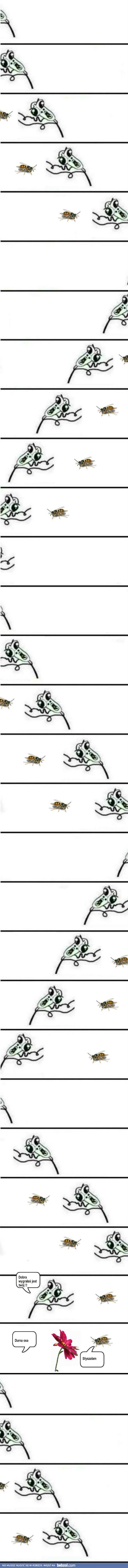 Wygrałaś!